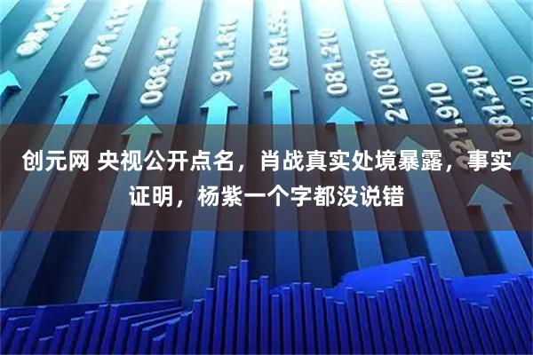 创元网 央视公开点名，肖战真实处境暴露，事实证明，杨紫一个字都没说错