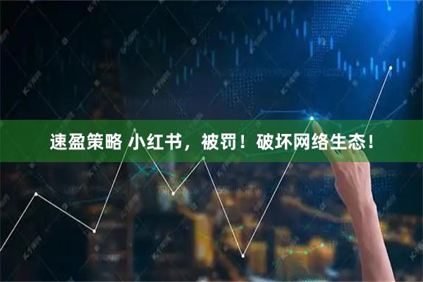 速盈策略 小红书，被罚！破坏网络生态！