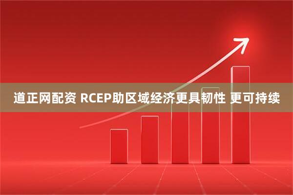 道正网配资 RCEP助区域经济更具韧性 更可持续