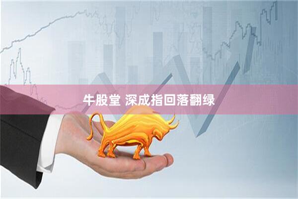 牛股堂 深成指回落翻绿