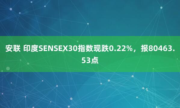 安联 印度SENSEX30指数现跌0.22%，报80463.53点