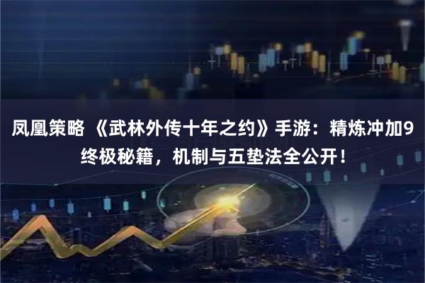 凤凰策略 《武林外传十年之约》手游：精炼冲加9终极秘籍，机制与五垫法全公开！