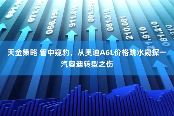 天金策略 管中窥豹，从奥迪A6L价格跳水窥探一汽奥迪转型之伤