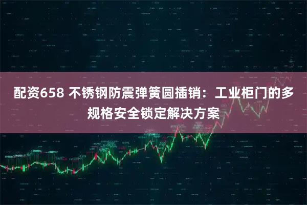 配资658 不锈钢防震弹簧圆插销：工业柜门的多规格安全锁定解决方案